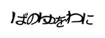 認証画像