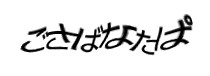 認証画像