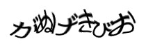 認証画像