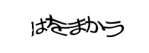 認証画像