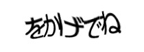 認証画像