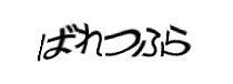 認証画像