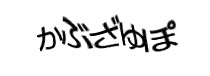 Authentication image